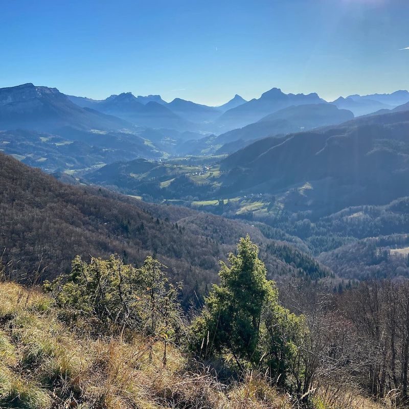 Trailrunner auf einer Panorama-Route bei Chambéry mit vielen Höhenmetern auf Straße und Trails.