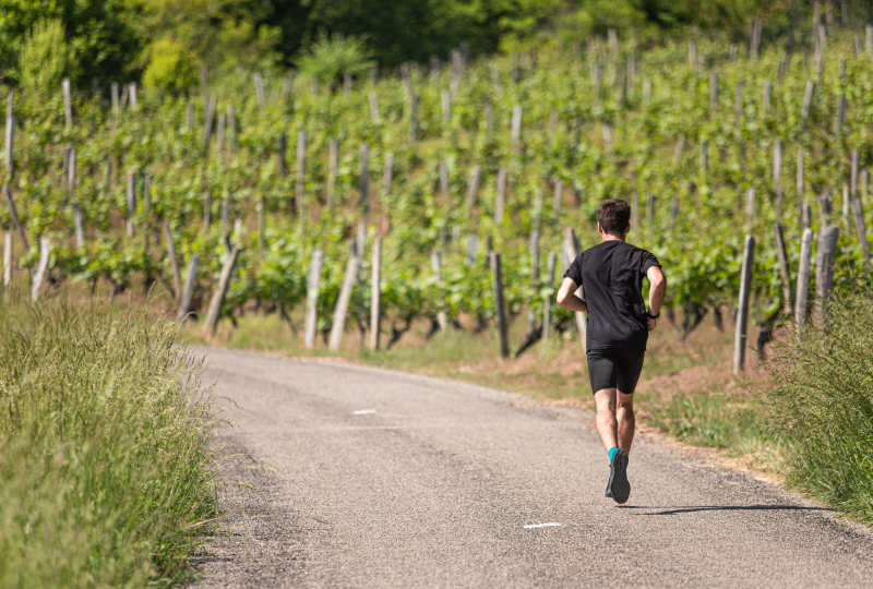 Anfaenger folgt 6-Wochen-Trainingsplan fuer den ersten 5-km-Lauf beim Joggen im Park.