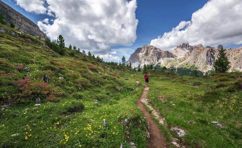 Trailrunner beim UTMB Mont-Blanc auf alpiner Strecke, Training, Qualifikation und Sieger im Fokus.