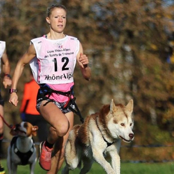 Canicross-Training mit Hund: Läuferin nutzt passende Ausrüstung zum schnelleren Laufen und sicheren Ziehen.