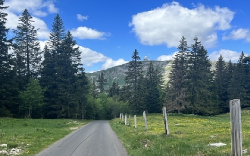 Rennradfahrer auf der Route La Barillette ab Nyon mit Blick auf die Schweiz.